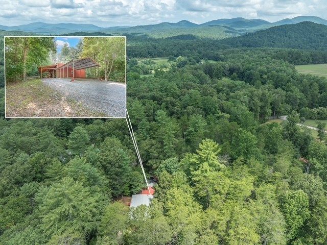 19 Ladybug Lane, Blue Ridge, GA 30513