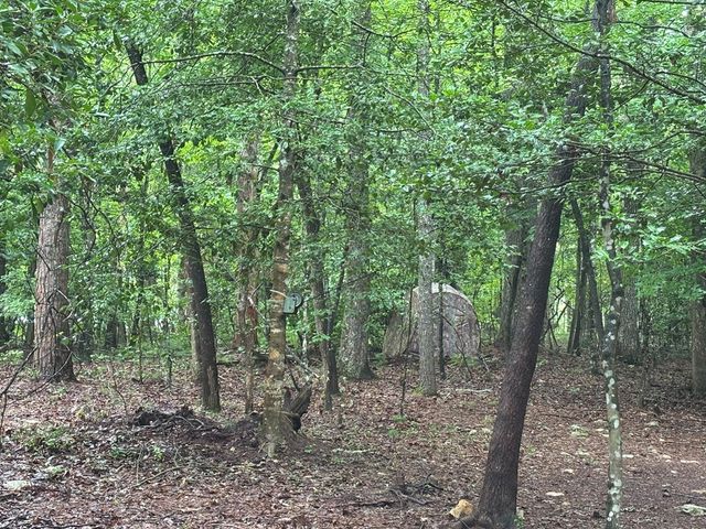 19 Ladybug Lane, Blue Ridge, GA 30513