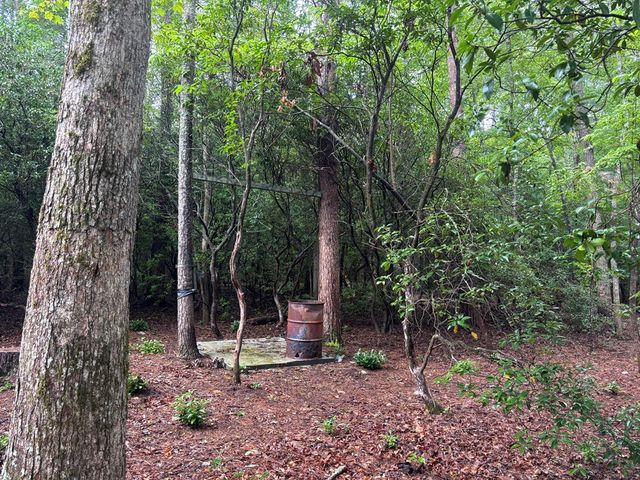 19 Ladybug Lane, Blue Ridge, GA 30513