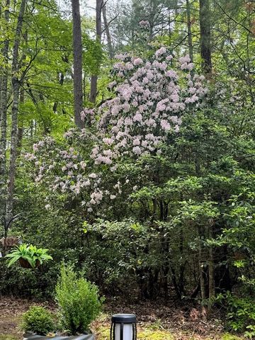 19 Ladybug Lane, Blue Ridge, GA 30513