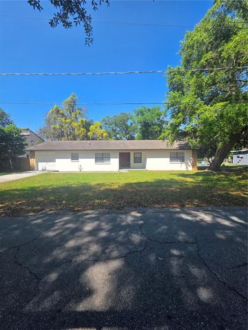 10410 N OJUS DRIVE, Tampa, FL 33617