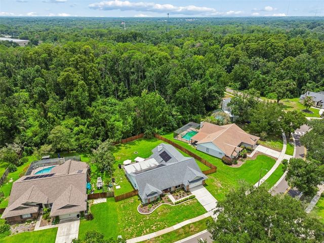 3607 LITHIA RIDGE BOULEVARD, Valrico, FL 33596