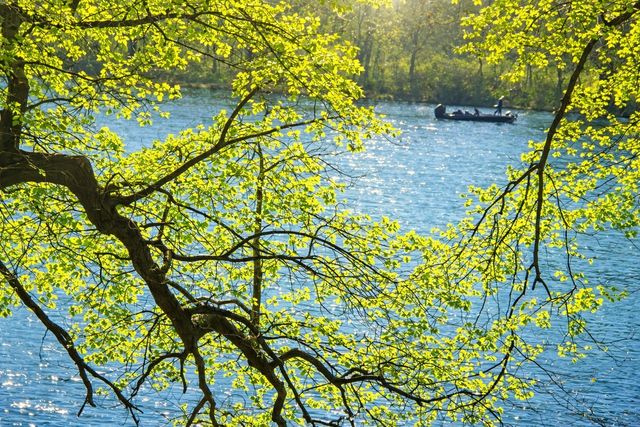 67833 Lake Trail Road, Lakeville, IN 46536