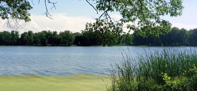 67833 Lake Trail Road, Lakeville, IN 46536