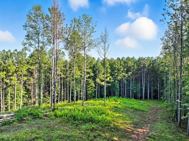 31&32 Foxpaw Leaf Lane, Ellijay, GA 30536