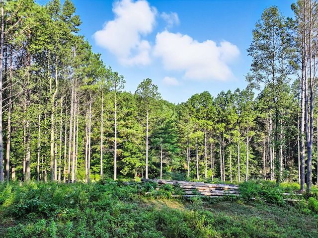 31&32 Foxpaw Leaf Lane, Ellijay, GA 30536