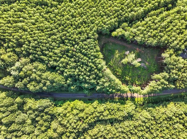 31&32 Foxpaw Leaf Lane, Ellijay, GA 30536