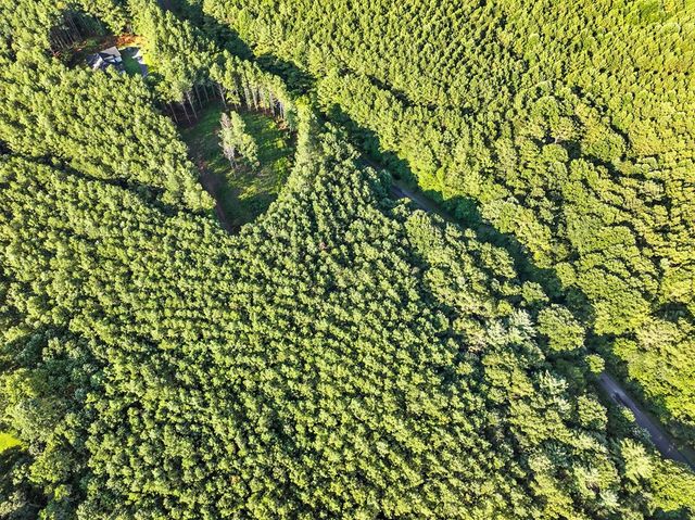 31&32 Foxpaw Leaf Lane, Ellijay, GA 30536