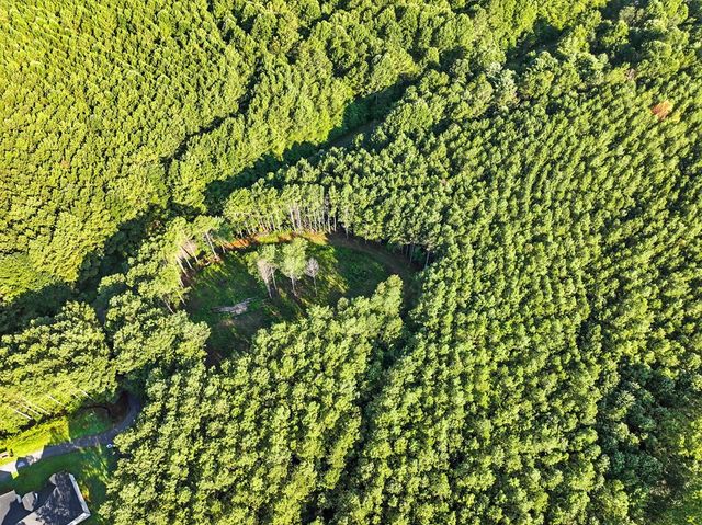 31&32 Foxpaw Leaf Lane, Ellijay, GA 30536