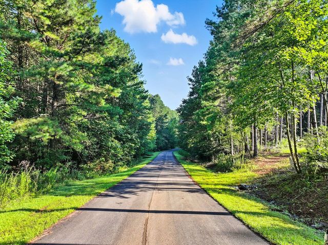 31&32 Foxpaw Leaf Lane, Ellijay, GA 30536