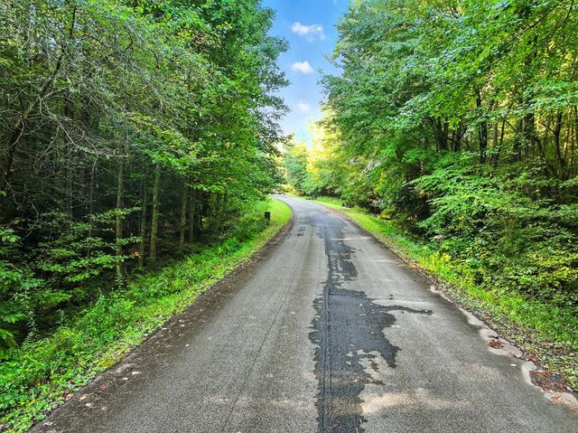 31&32 Foxpaw Leaf Lane, Ellijay, GA 30536