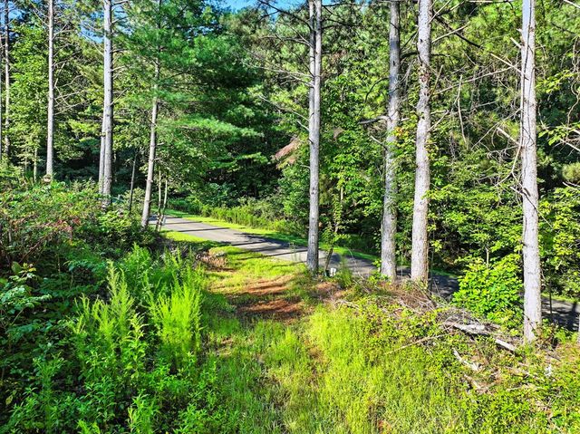 31&32 Foxpaw Leaf Lane, Ellijay, GA 30536