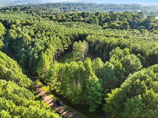 31&32 Foxpaw Leaf Lane, Ellijay, GA 30536