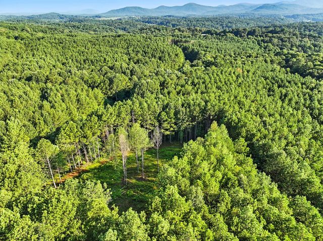 31&32 Foxpaw Leaf Lane, Ellijay, GA 30536