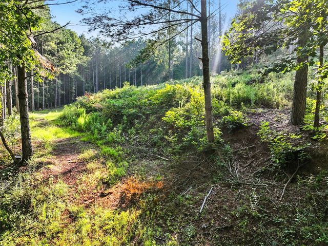 31&32 Foxpaw Leaf Lane, Ellijay, GA 30536