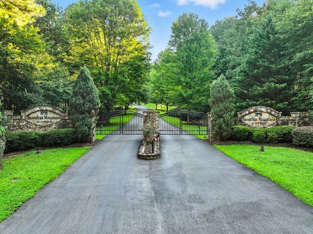 31&32 Foxpaw Leaf Lane, Ellijay, GA 30536