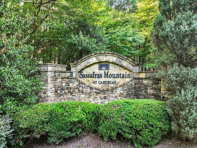 31&32 Foxpaw Leaf Lane, Ellijay, GA 30536