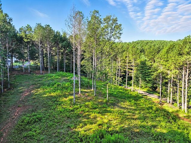 31&32 Foxpaw Leaf Lane, Ellijay, GA 30536