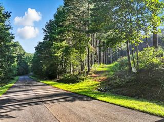 31&32 Foxpaw Leaf Lane, Ellijay, GA 30536