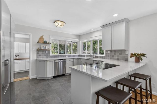 415 Larkhill Court, Webster Groves, MO 63119