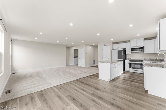 3808 San Giovanni Lane, Perry, OH 44081