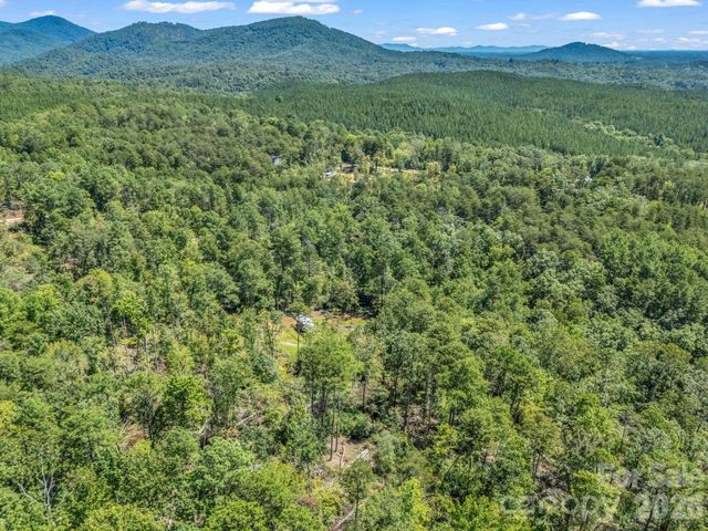 231 Wandering Bear Way, Lake Lure, NC 28746