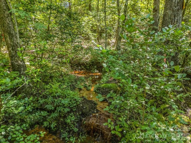 231 Wandering Bear Way, Lake Lure, NC 28746