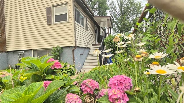 11 Stow Rd, Boston, MA 02126