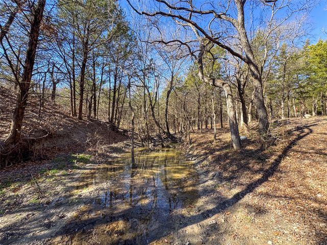 8708 Fm 697, Whitewright, TX 75491