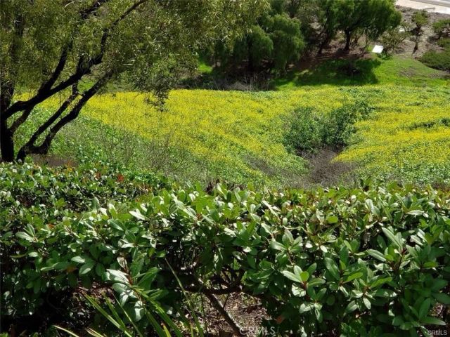 8604 E Windsong Drive, Anaheim Hills, CA 92808