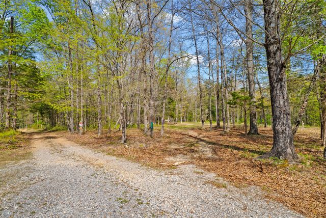 1549 Trace Creek Rd, Mc Ewen, TN 37101