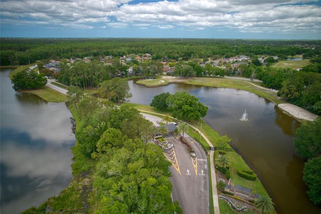 15509 EASTBOURN DRIVE, Odessa, FL 33556