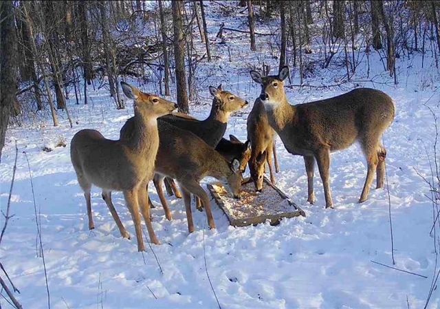 2144 Crooked Creek Drive, Kearney, MO 64060