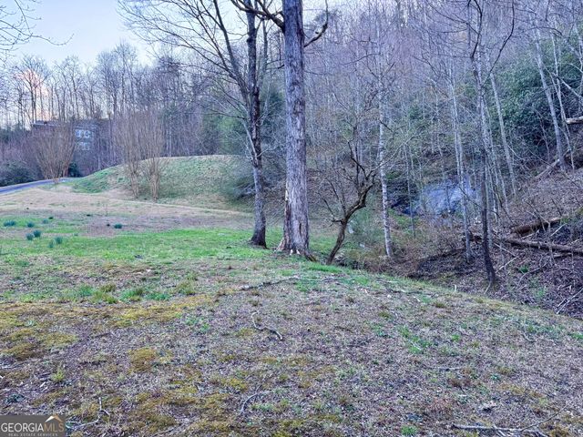 6159 Wolffork Road, Rabun Gap, GA 30568