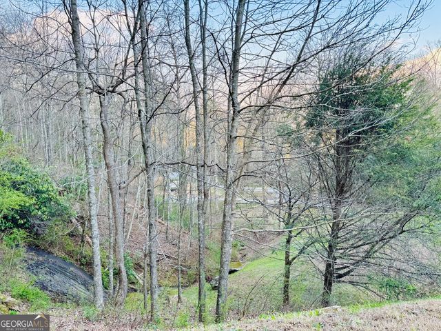 6159 Wolffork Road, Rabun Gap, GA 30568