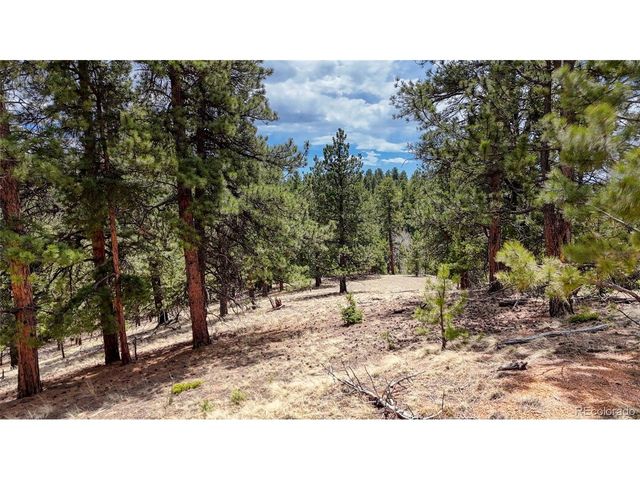 16 View Cir, Florissant, CO 80816