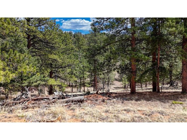 16 View Cir, Florissant, CO 80816