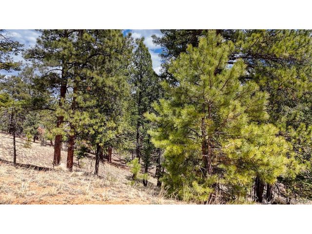 16 View Cir, Florissant, CO 80816