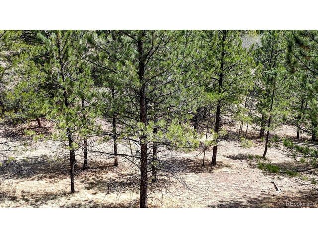 16 View Cir, Florissant, CO 80816