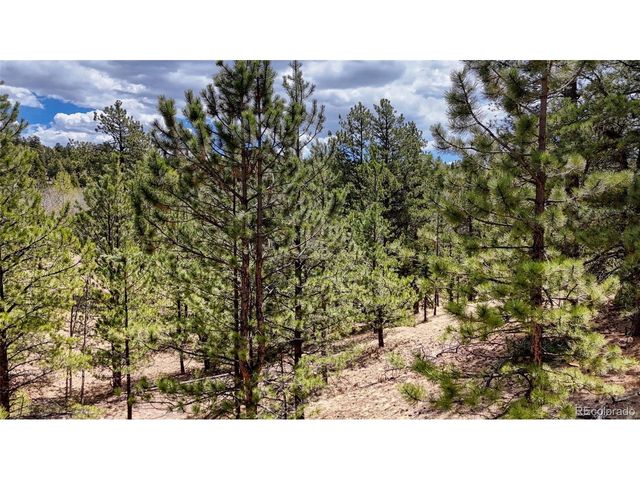 16 View Cir, Florissant, CO 80816