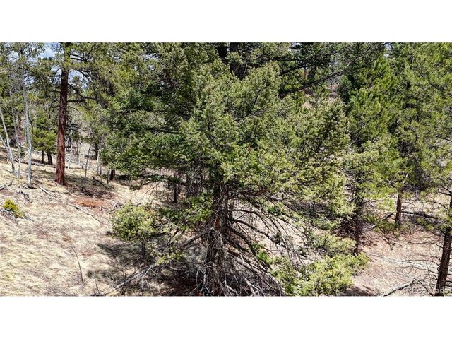 16 View Cir, Florissant, CO 80816
