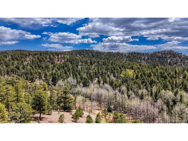 16 View Cir, Florissant, CO 80816
