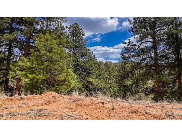 16 View Cir, Florissant, CO 80816