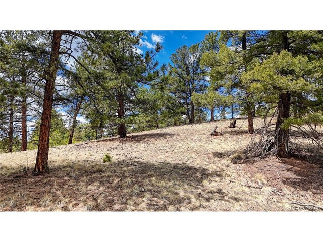 16 View Cir, Florissant, CO 80816