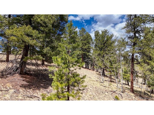 16 View Cir, Florissant, CO 80816