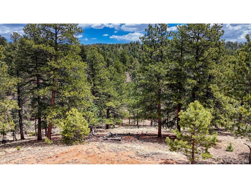 16 View Cir, Florissant, CO 80816