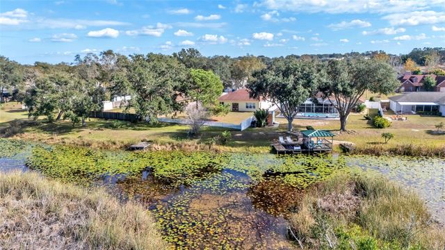 273 HIDDEN VIEW DRIVE, Groveland, FL 34736