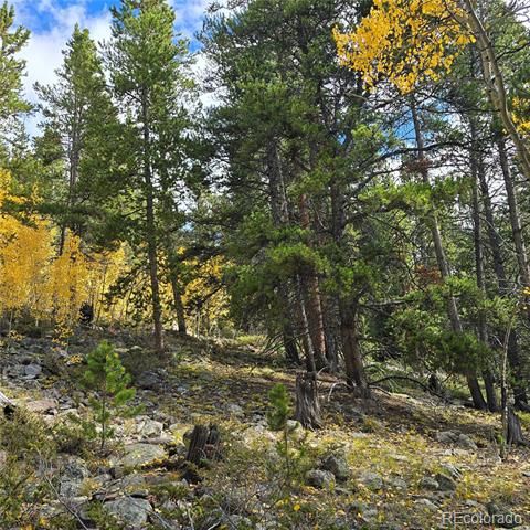 5347 Monitor Lode Claims, Leadville, CO 80461