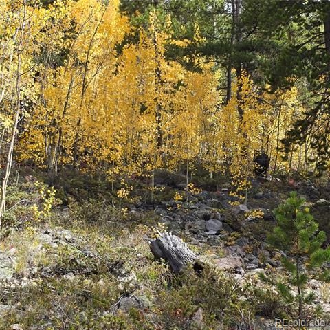5347 Monitor Lode Claims, Leadville, CO 80461