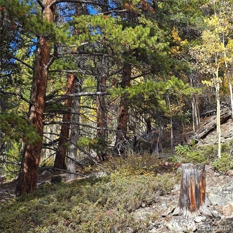 5347 Monitor Lode Claims, Leadville, CO 80461